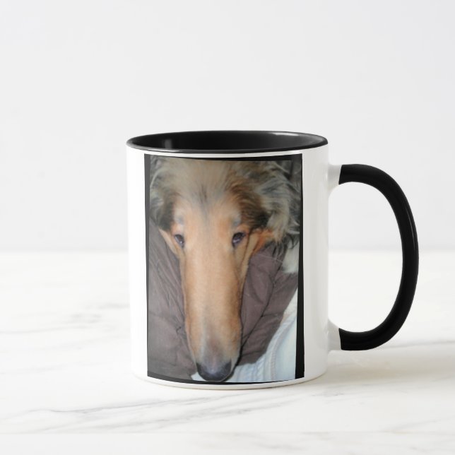 Este Collie NOSE una buena taza de... (Derecha)