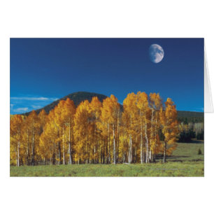 Esté en la luna sobre un paisaje, Navajo del valle