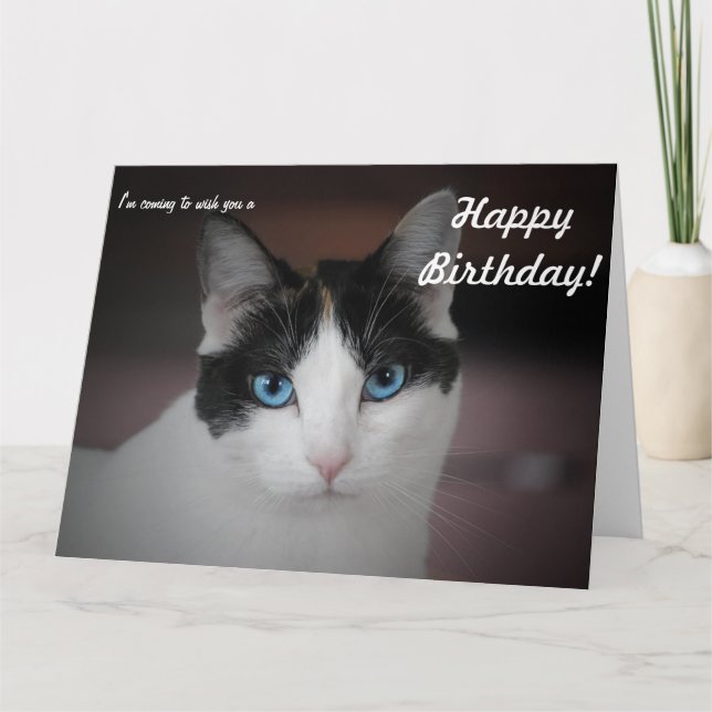 ¡Este Gato llora un cumpleaños feliz! Tarjeta gran (Anverso)