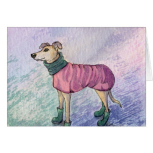 Este perro del whippet quiere saber donde está su