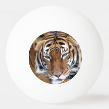 Este tigre se refiere a la pelota de Ping Pong