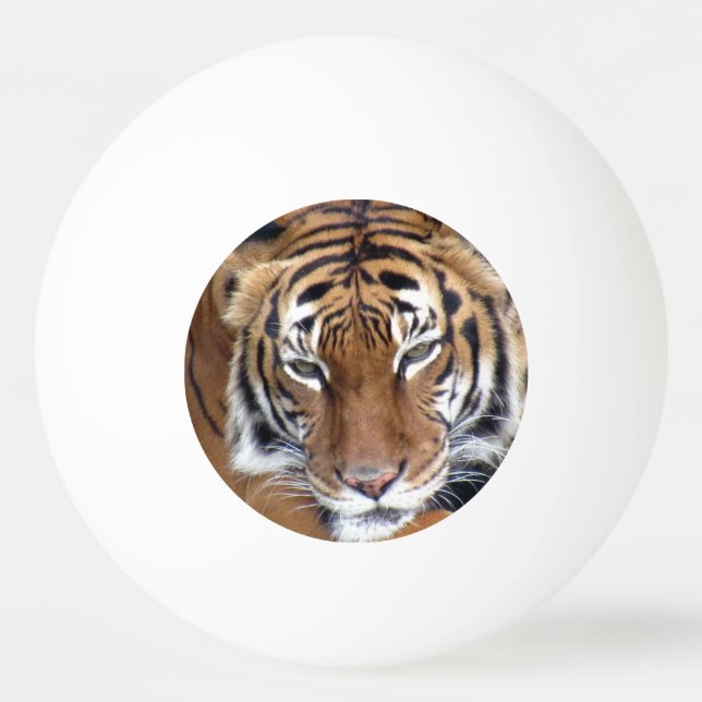 Este tigre se refiere a la pelota de Ping Pong (Reverso)