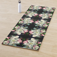 Bonito Crabapple Spring Flower Blossoms Resumen