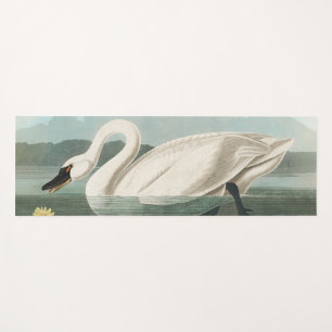 Esterilla De Yoga cisnes de agua blanca de cisne audubon