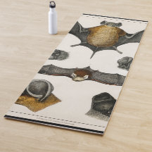 Colección de varios murciélagos