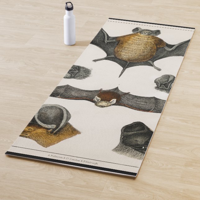 Esterilla De Yoga Colección de varios murciélagos (In situ)