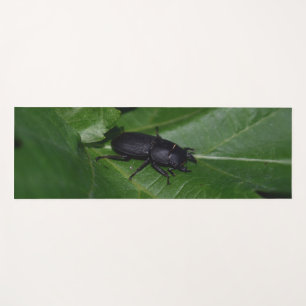 Esterilla De Yoga Dorcus parallelipipedus , el escarabajo de menor t