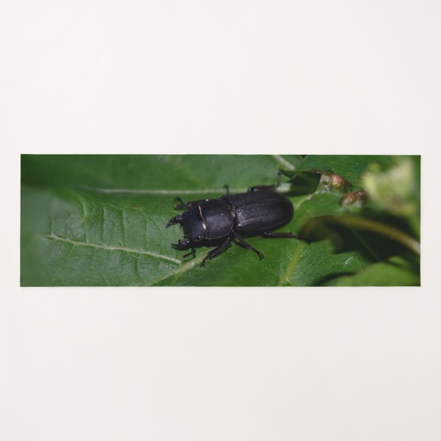 Esterilla De Yoga Dorcus parallelipipedus , el escarabajo de menor t (Anverso (horizontal))
