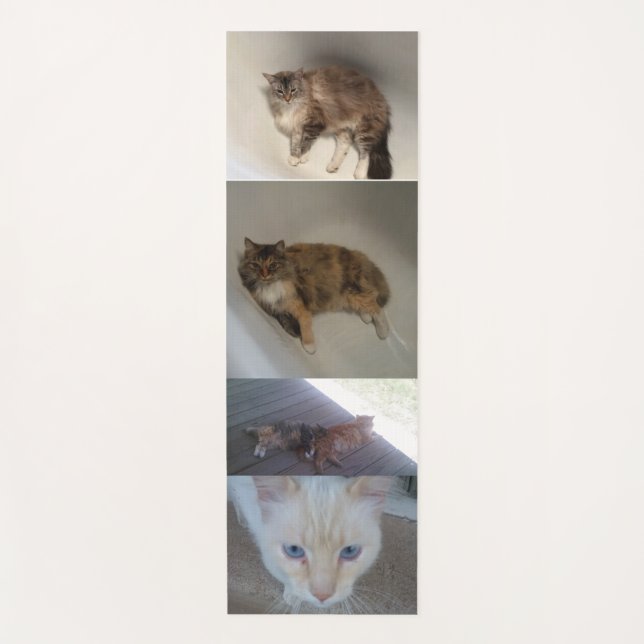 Esterilla De Yoga Gato (Anverso)