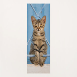 Esterilla De Yoga Gato de Nosy Tabby lindo sentado en una cerca azul