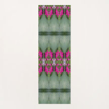 Hosta La Vista Too 13