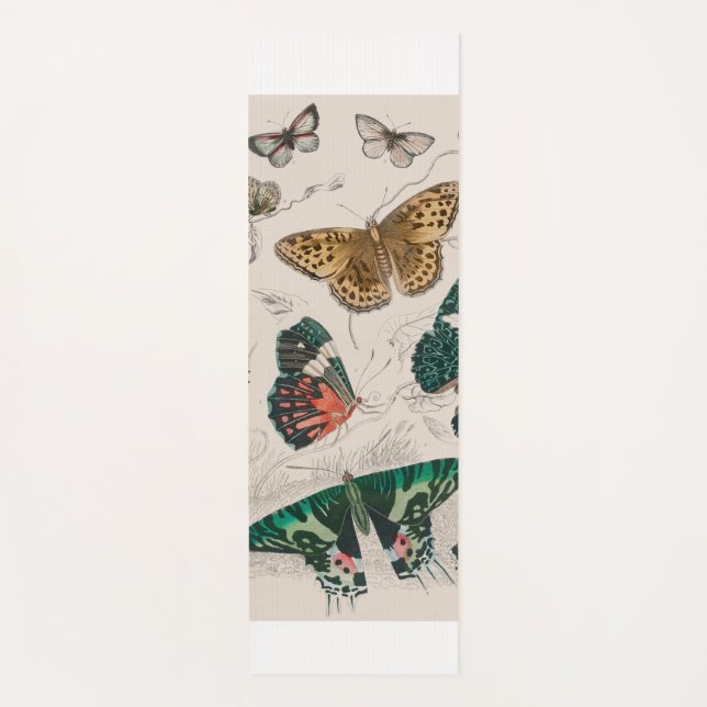 Esterilla De Yoga Ilustración antigua de mariposa: Orfebre de 1820 (Anverso)