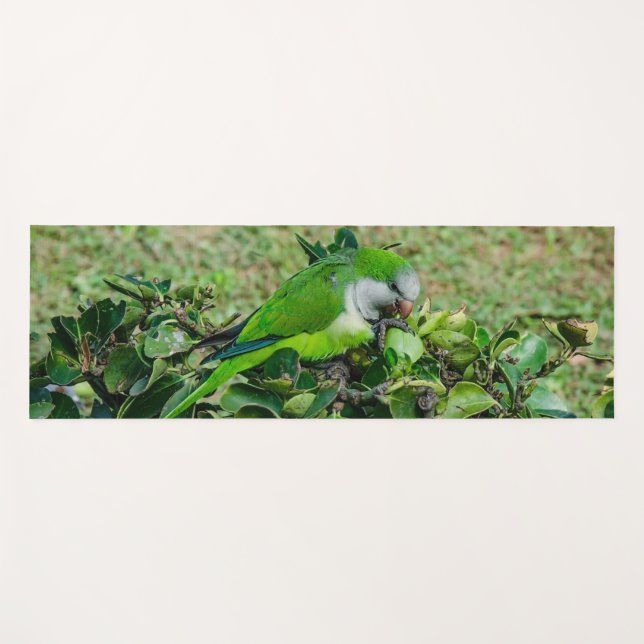 Esterilla De Yoga Loro verde (Anverso (horizontal))