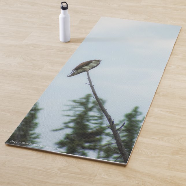 Esterilla De Yoga Osprey 9028 (In situ)