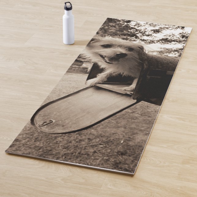 Esterilla De Yoga Perro dentro de un buzón (In situ)