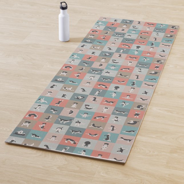 Esterilla De Yoga pose de yoga para perros. Yoga con perros (In situ)