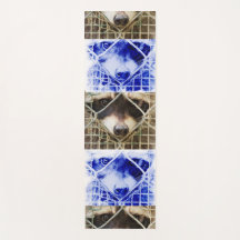 Raccón sobre alfombras de yoga