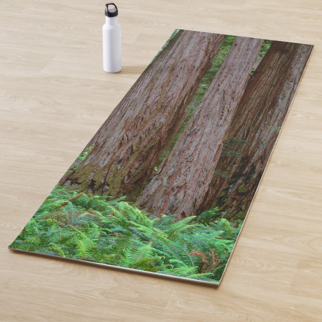 Esterilla De Yoga Redwoods Antiguos Imponentes (In situ)