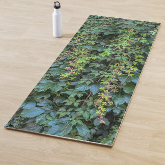 Esterilla De Yoga Serene Green Ivy Wall Colgando Vinas Plantas