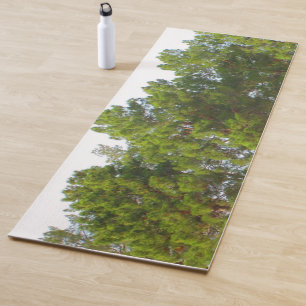 Esterilla De Yoga Sunny Day Green Pine Treetops