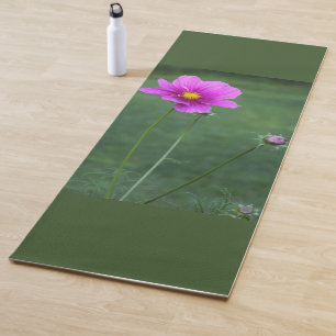 Esterilla De Yoga Un aster mexicano