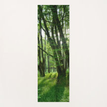 Un bosque verde y un bosque sepia