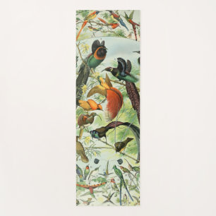 Esterilla De Yoga Viejos pájaros Viejos libros Ilustraciones Animale