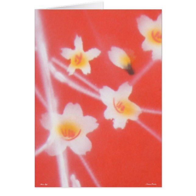 Estilo Asiático -Tarjeta- (Frente)