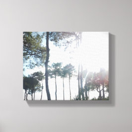 ESTILO DE ARTE Y DISEÑO DE CANVAS