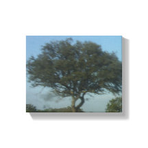 ESTILO DE ARTE Y DISEÑO DE CANVAS