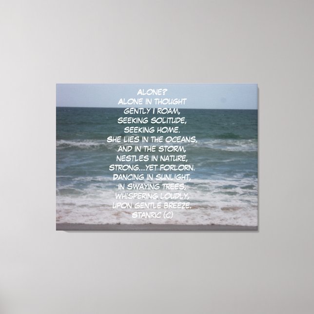 ESTILO DE ARTE Y DISEÑO DE CANVAS (Anverso)