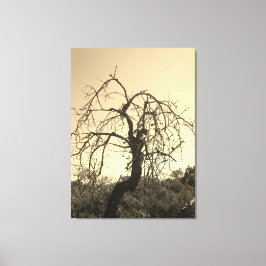 ESTILO DE ARTE Y DISEÑO DE CANVAS