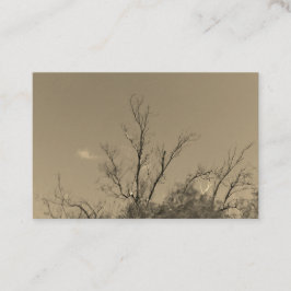 ESTILO DE ARTE Y DISEÑO DE tarjetas de presentació