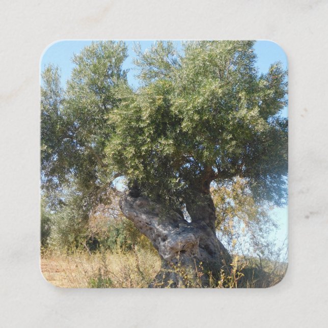 Estilo de diseño de árbol antiguo de tarjetas de p (Anverso)