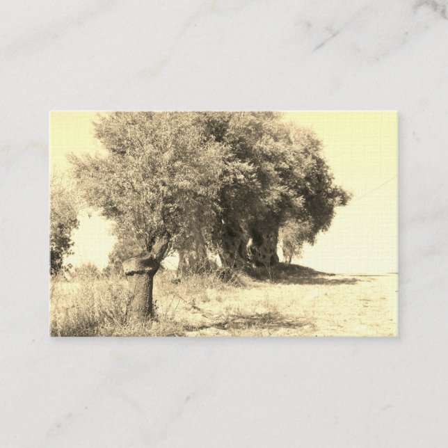 ESTILO DE DISEÑO Y ARTE DE tarjetas de visita (Anverso)