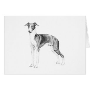 Estilo de grifo italiano