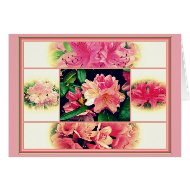 Estilo de las Azaleas de los años 50 (Anverso (Horizontal))