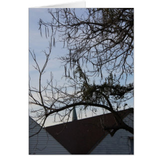 Estilo de vida de Nueva Orleans