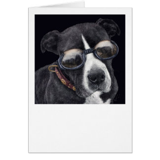 "Estilo" - Mezcla de viñetas