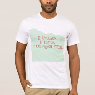 Estilo perdido - "Olvidé por qué" Camiseta gracios