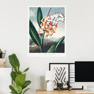Estilo Regencia Blanco Amarillo Decoración Floral