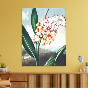 Estilo Regencia Blanco Amarillo Decoración Floral
