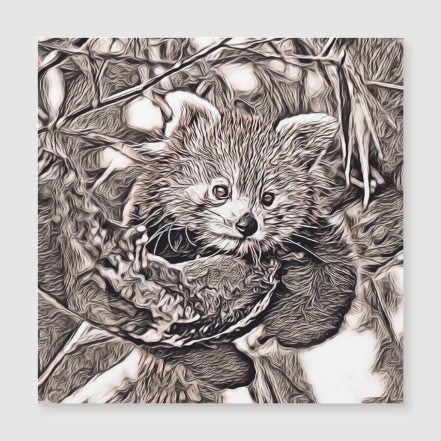 Estilo Rústico - Panda Rojo (Anverso)