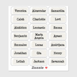Estilo vintage minimalista varias pegatinas de nom