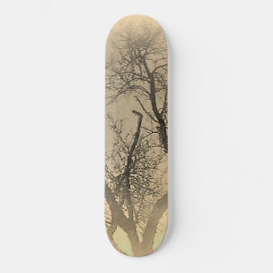 ESTILO Y DISEÑO DE PATINETA