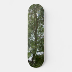 ESTILO Y DISEÑO DE PATINETA