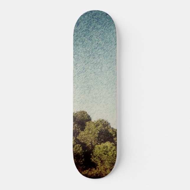 ESTILO Y DISEÑO DE PATINETA (Anverso)