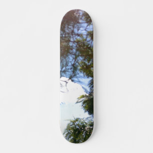 ESTILO Y DISEÑO DE PATINETA
