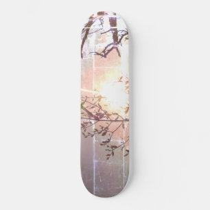 ESTILO Y DISEÑO DE PATINETA