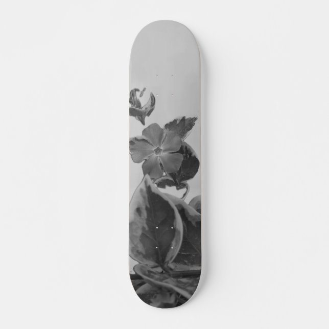 ESTILO Y DISEÑO DE PATINETA (Anverso )